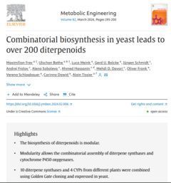 +++NewsTickerScience+++ Out of the plant - into the yeast! IPB scientists used combinatorial biosynthesis to generate a library of more than 200 diterpenoids. 👀 buff.ly/3ICzWqB 👀 👀 buff.ly/3veXsGW @trichomeIPB @ulschan @Maximilian20454 @mehdi_d_davari 💯