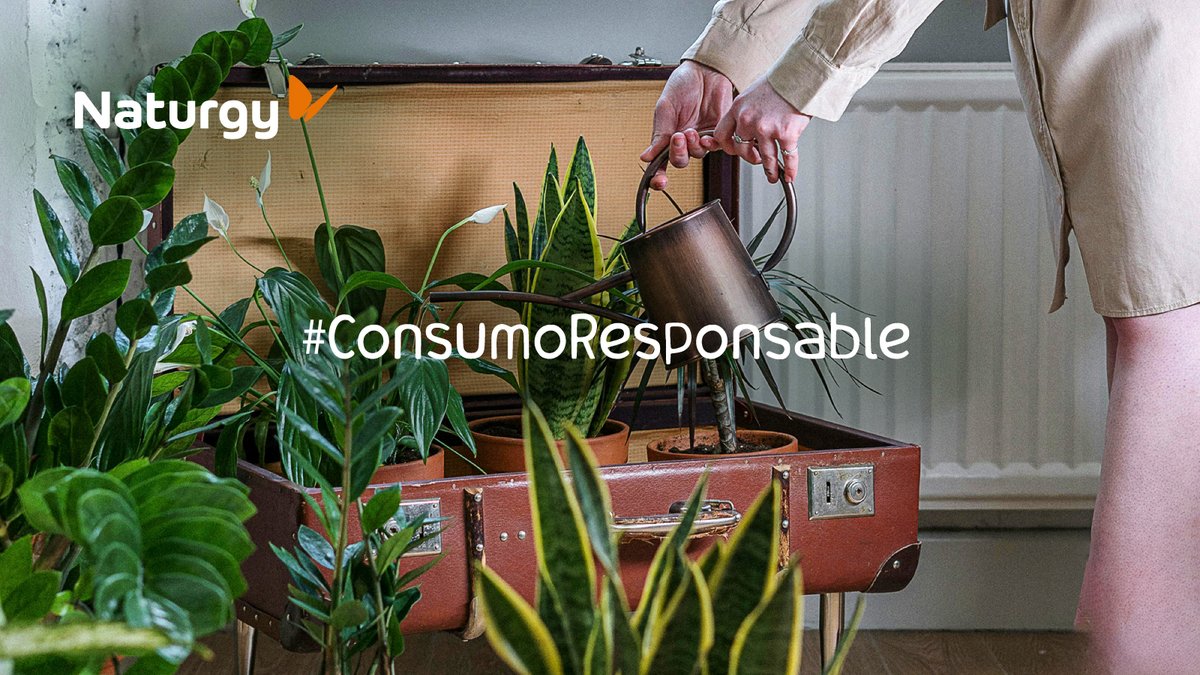 ¿Creés que sos un consumidor responsable?🤔♻️ Respondé unas preguntas sobre tus hábitos de consumo y conocé tu impacto ambiental en el hogar a través de nuestro test online en: naturgy.com.ar #NaturgyArgentina #ConsumoResponsable