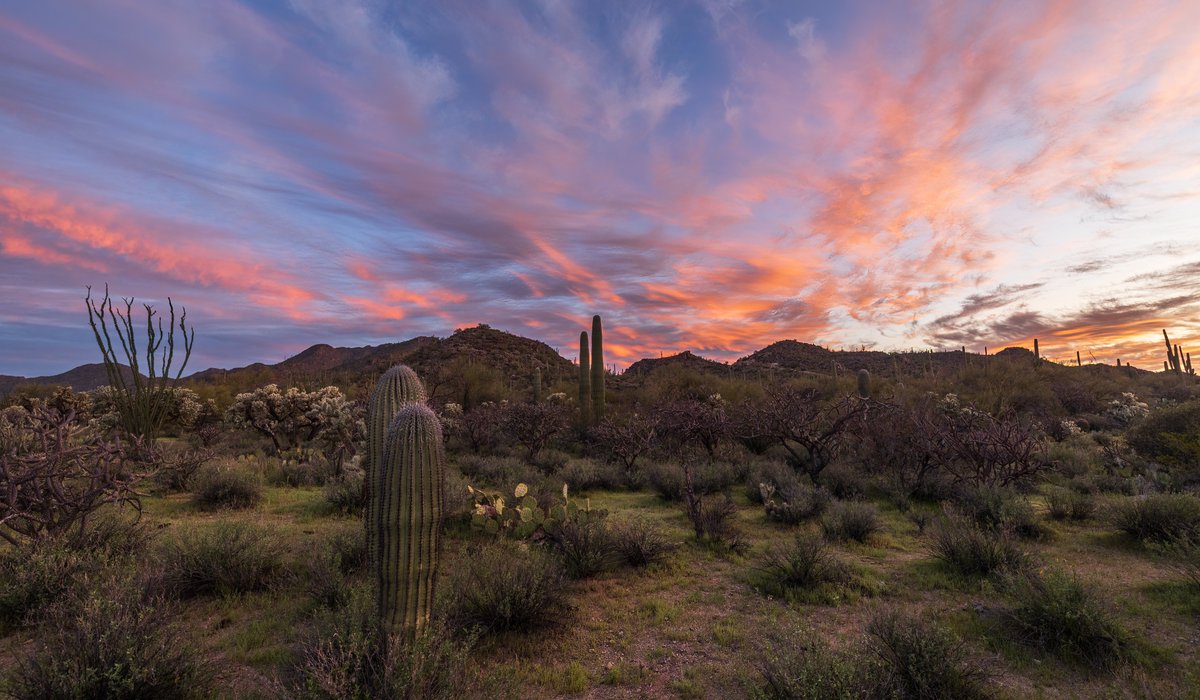 Beautiful start to the day over the #Tucson #Arizona metro area this AM #azwx #sunrise <a href="/MallorySchnell/">Mallory Schnell</a> <a href="/sheasorensonwx/">Shea Sorenson</a>  <a href="/whatsuptucson/">Whats Up Tucson</a>  <a href="/WaldrefWeather/">Stephanie Waldref</a>