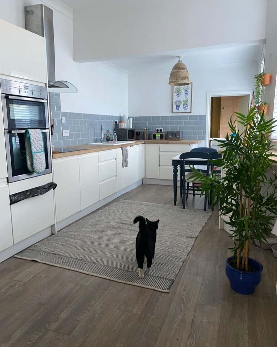 Before and after: kitchen revamp ✨ Evoke a sense of calm and balance with a rich dusky green with subtle grey undertones. 🎨 @numberonevictorianterrace