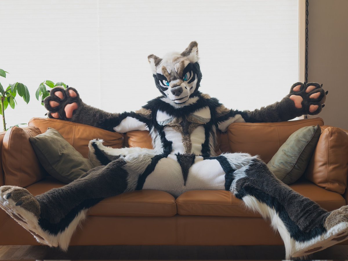 RhapsodieShep's tweet photo. The couch is taken but my lap isn't 😉🐺 https://t.co/QphyPd75gO