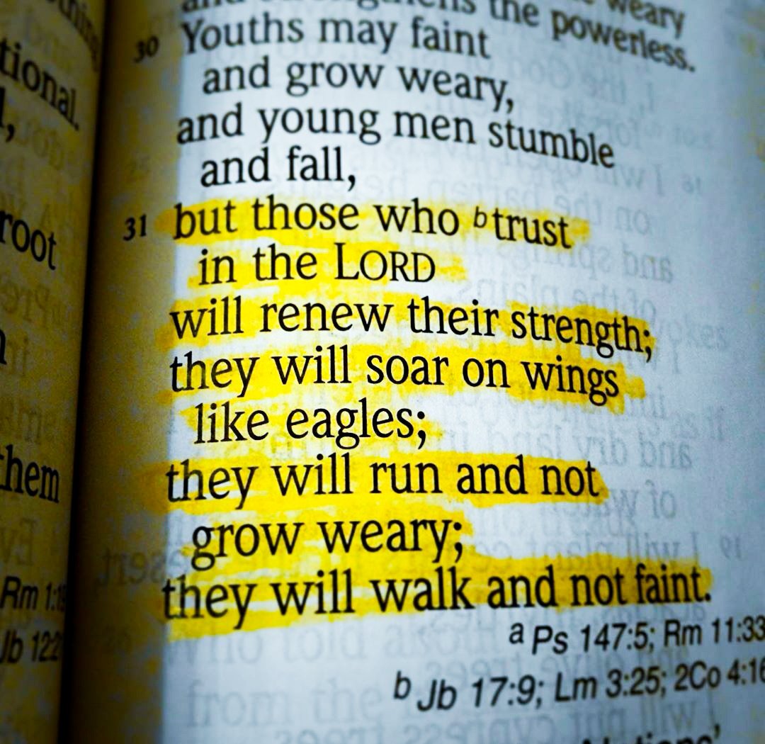EricanSA's tweet photo. Isaiah 40:31 ♥️ https://t.co/J8YXW441m3