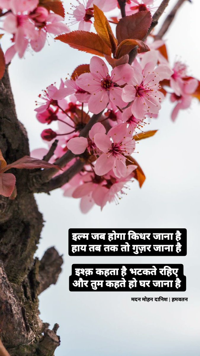 ~ <a href="/DanishMadan/">Madan Mohan Danish</a>