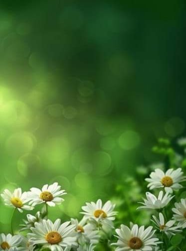 bdalbary113's tweet photo. @anfelnour16293 مساك ورد وياسمين https://t.co/cLhpzsBSJ9