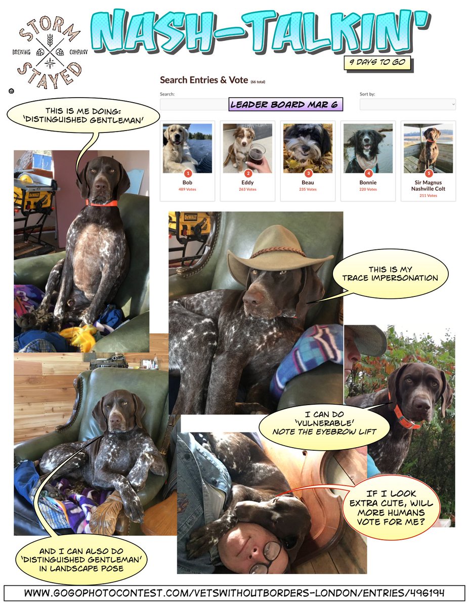 Trace Tracey tweet media