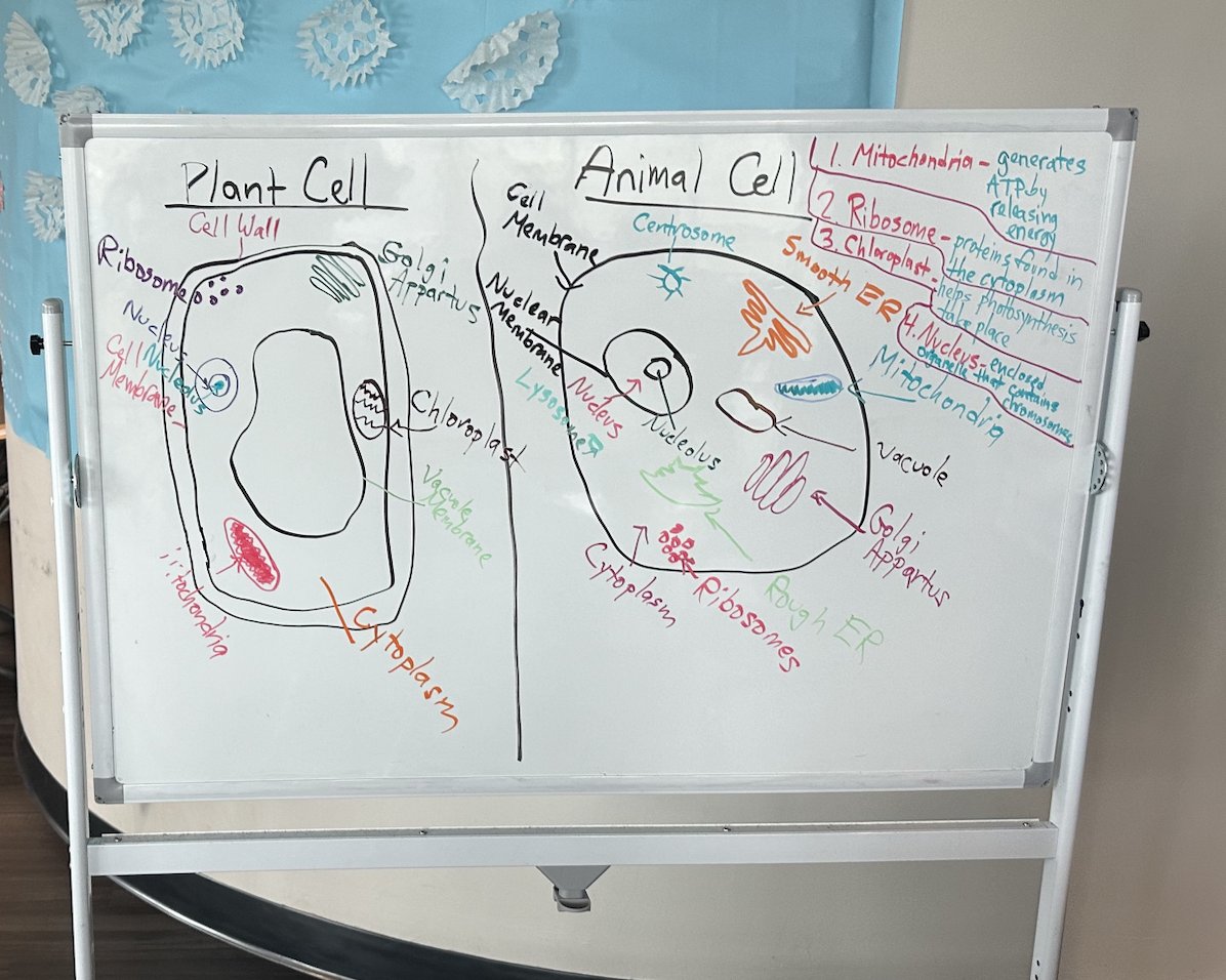 ProgramElevate's tweet image. Lots of Biology work for our Elevate students today. We are so thankful for our teachers who work with us to make this learning happen!