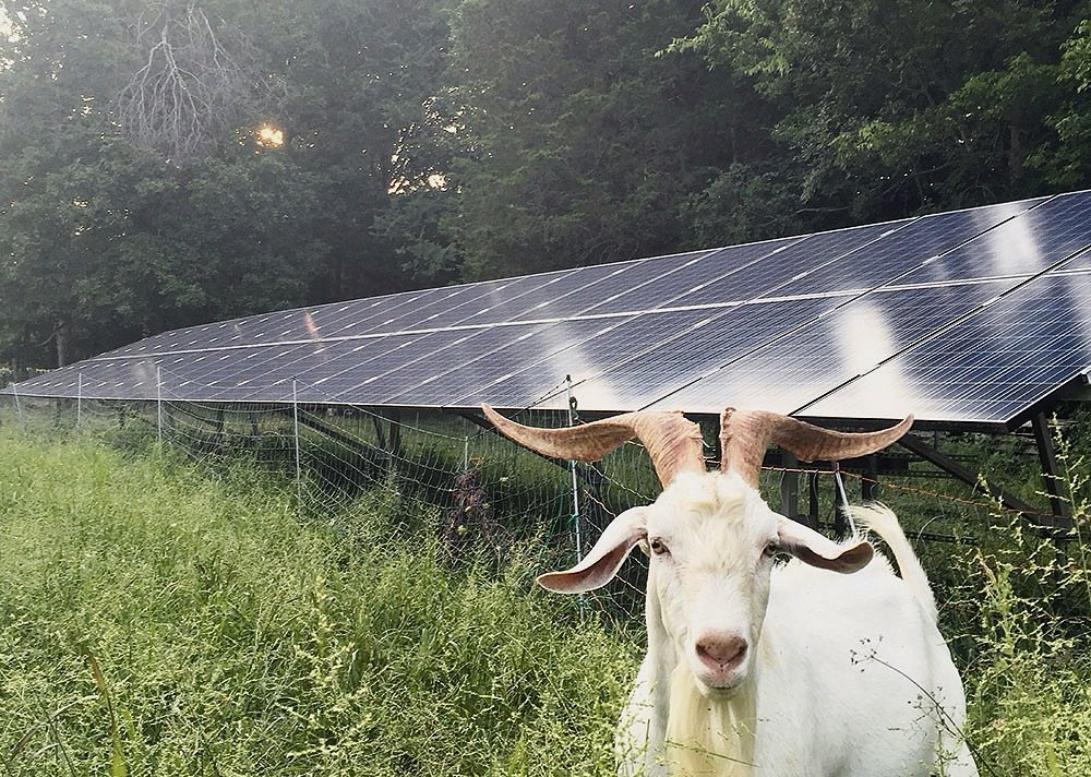 LightWave Solar tweet media