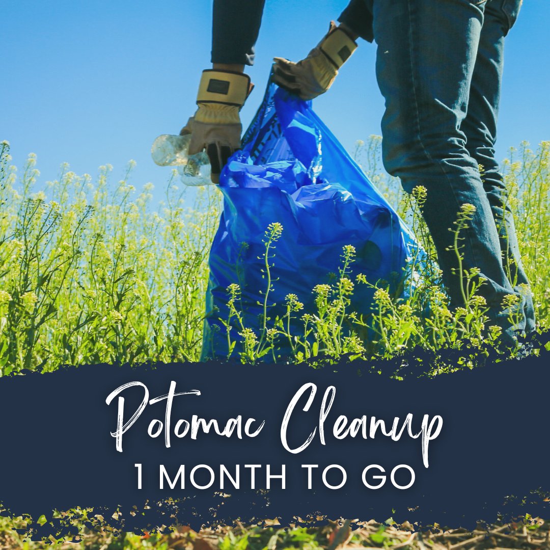 AliceFerguson's tweet photo. We're 1 month away from the 36th Annual Potomac Cleanup! ๐ Join us at our flagship cleanup at Piscataway Park on 4/6 @ 9am
RSVP: https://t.co/TsG7SeMmz3
#PotomacCleanup #cleanup #trash #volunteer #communityservice #impact #trashfree #environment #keepitclean #maryland https://t.co/Zi9y7wYgaa