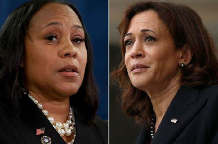 BREAKING: BOMBSHELL NEWS OUT OF GEORGIA!! During a Georgia Senate hearing, attorney Ashley Merchant disclosed White House records showing that Georgia DA Fani Willis had met with Vice-President Kamala Harris on February 28th, 2023 shortly before bringing charges against Donald…