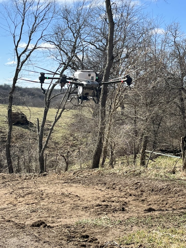 Brandon Hall tweet media