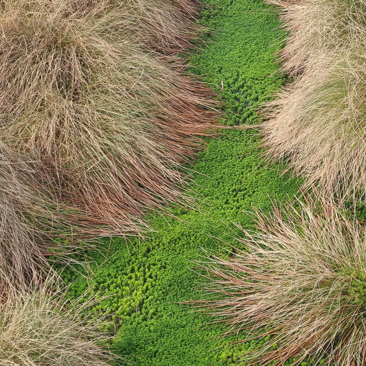 Tessa Levens tweet media