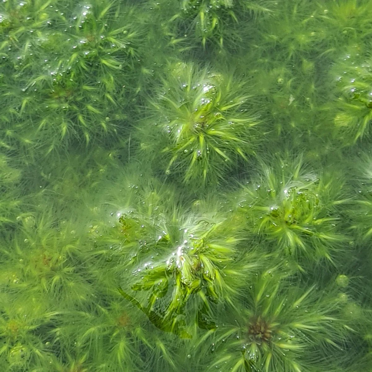 Tessa Levens tweet media