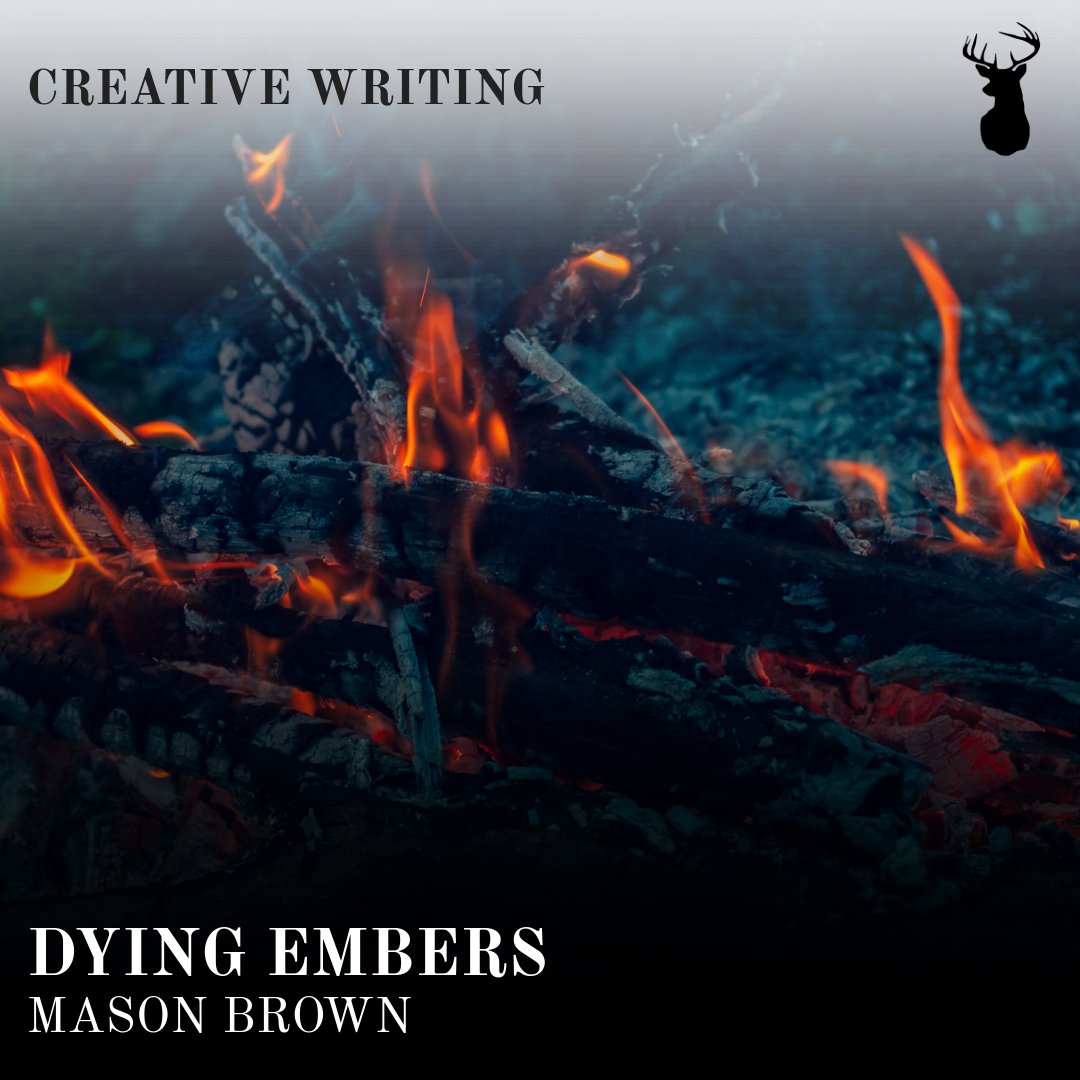Debut writer, Mason Brown, pens a melancholic and romantic #poem, musing on the story of two characters heading to war. Read the poem by clicking here thestagsurrey.co.uk/dying-embers/🔗 #creativewriting #poetry #thestagmagazine #uniofsurrey #surreyunion #studentjournalism #journalism