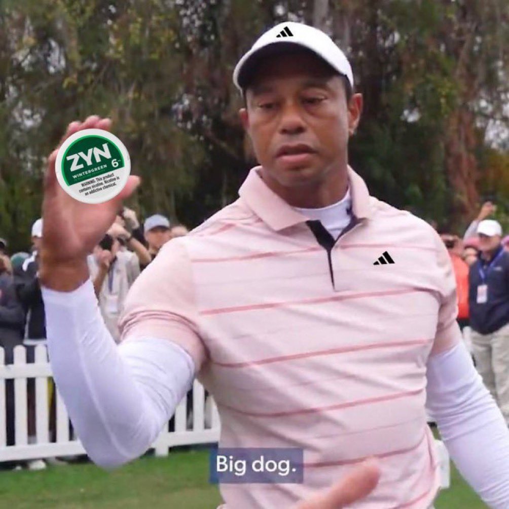 I’ll be the only one shilling $ZYN in your TL for now I don’t care. Beats another dog or cat.