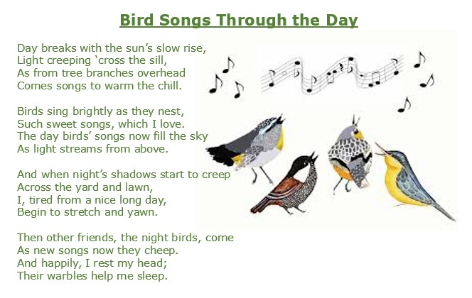 *rushes in waving the poem* Aloha, furrends!! Sorry I'm late. Here is my poem about bird songs. Enjoy! #FurryBards #FurryTails