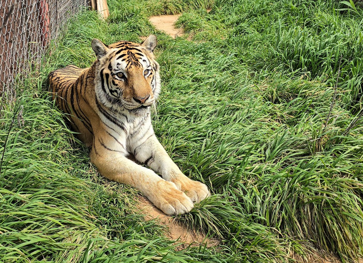 Got this nice shot of Rasa the other day.