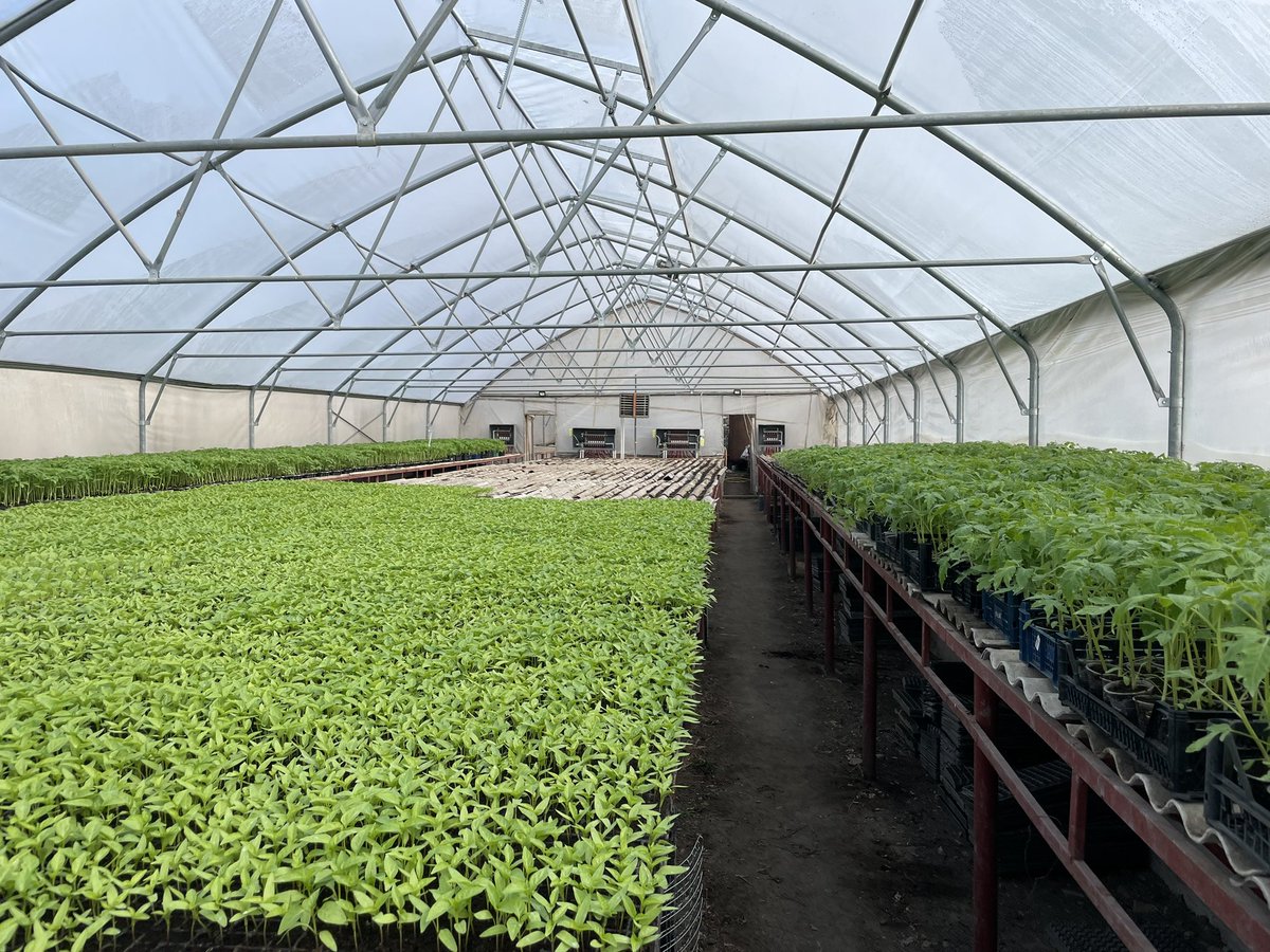 Alexander Murzak tweet media