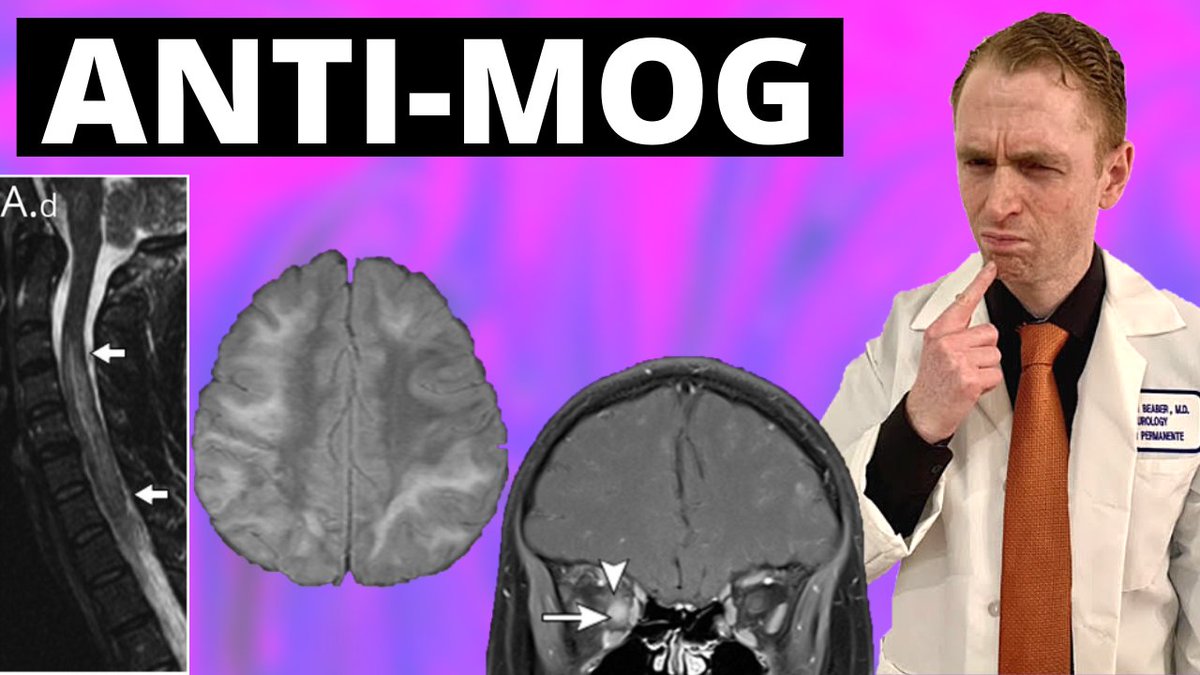 Dr. Brandon Beaber tweet media