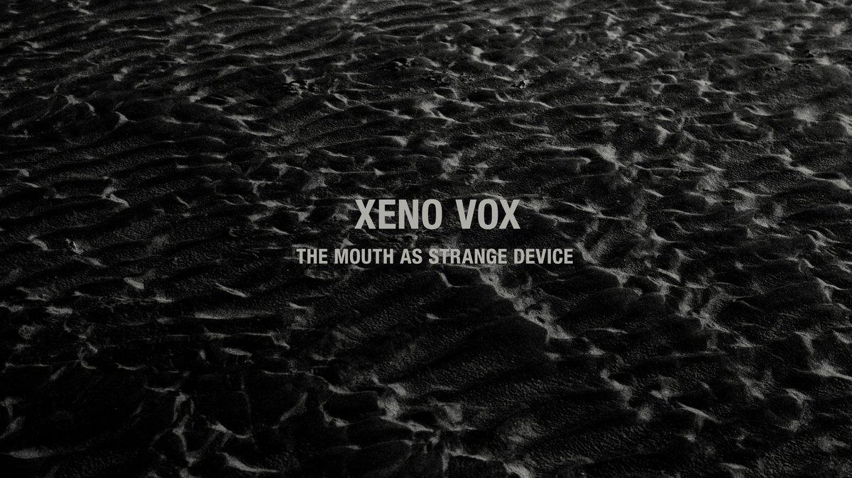 Nitetrax tweet media