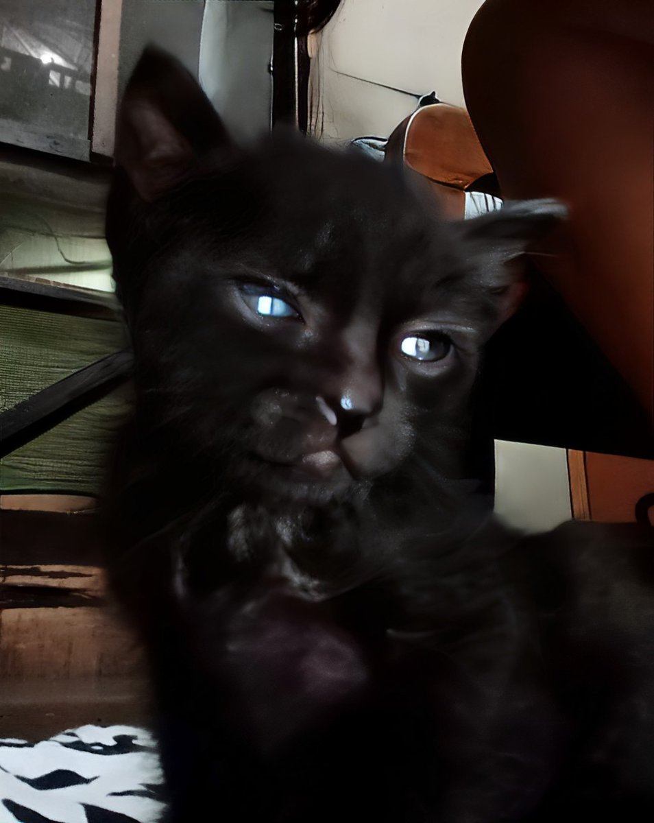 🐿️ Emmankunn 💤 tweet media