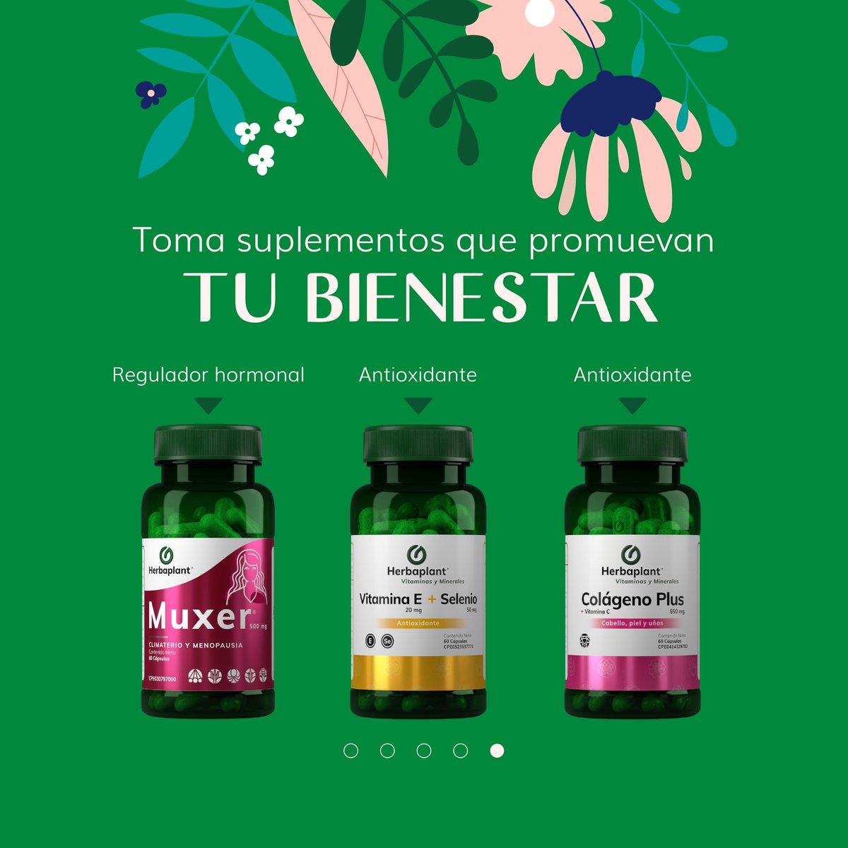 herbaplant's tweet photo. Atrévete a tomar el control de tu salud con nuestra ayuda. ��Tú lo vales!💗 https://t.co/k7jq5FMhy8