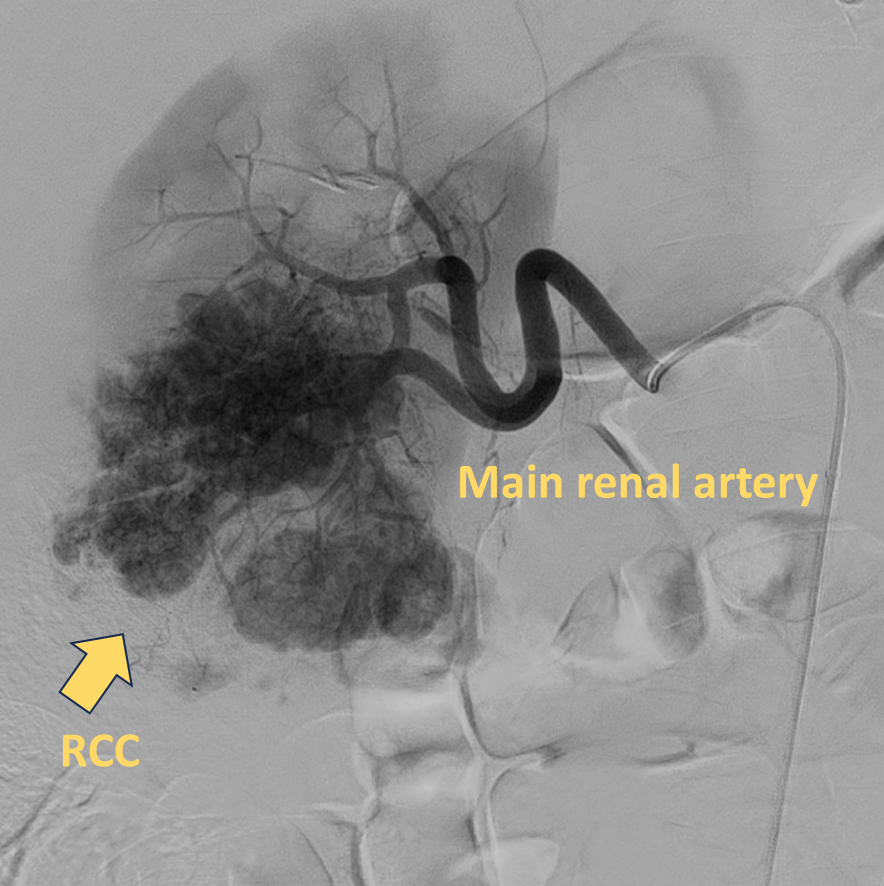 University of Arizona VIR tweet media