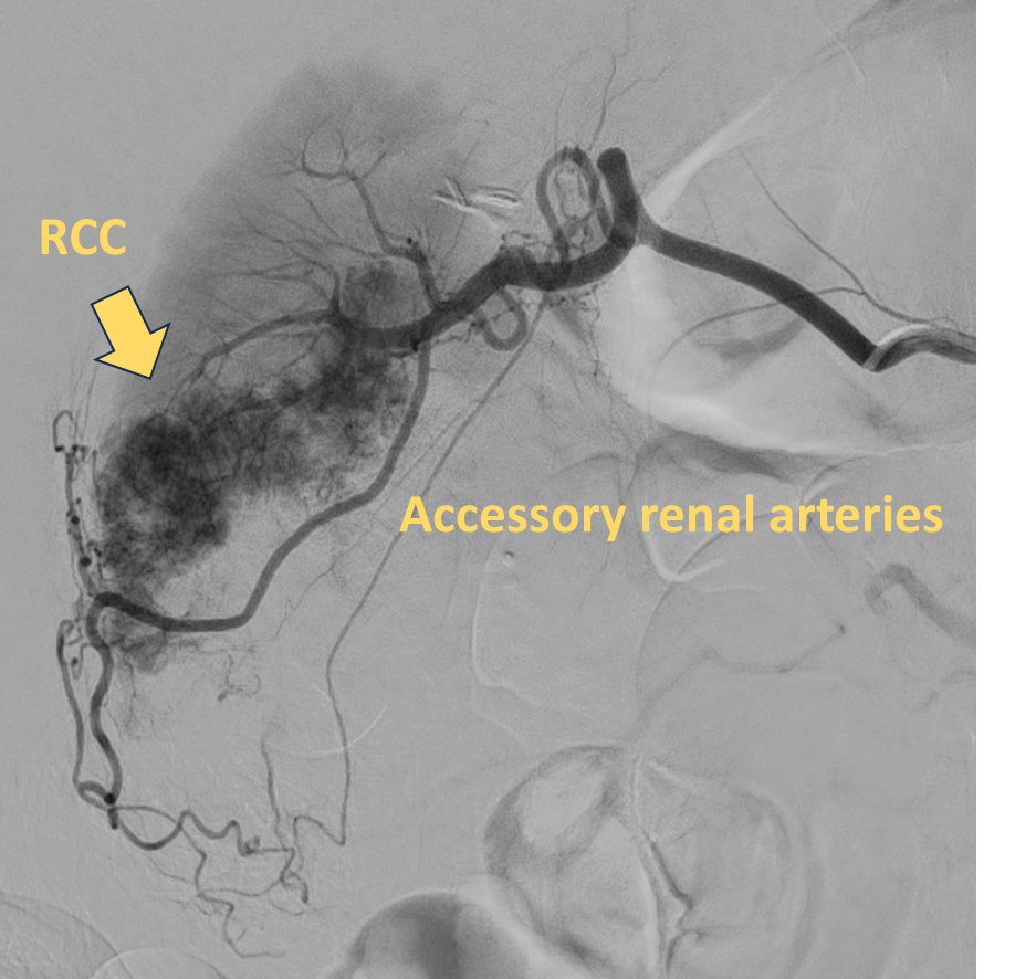 University of Arizona VIR tweet media