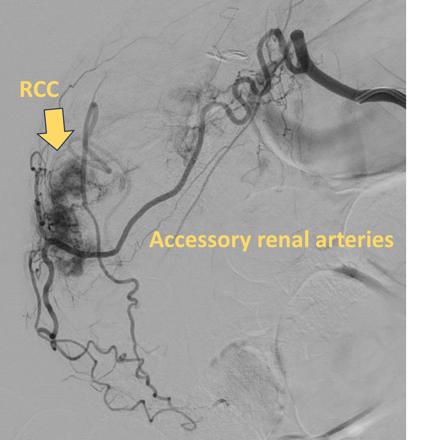 University of Arizona VIR tweet media
