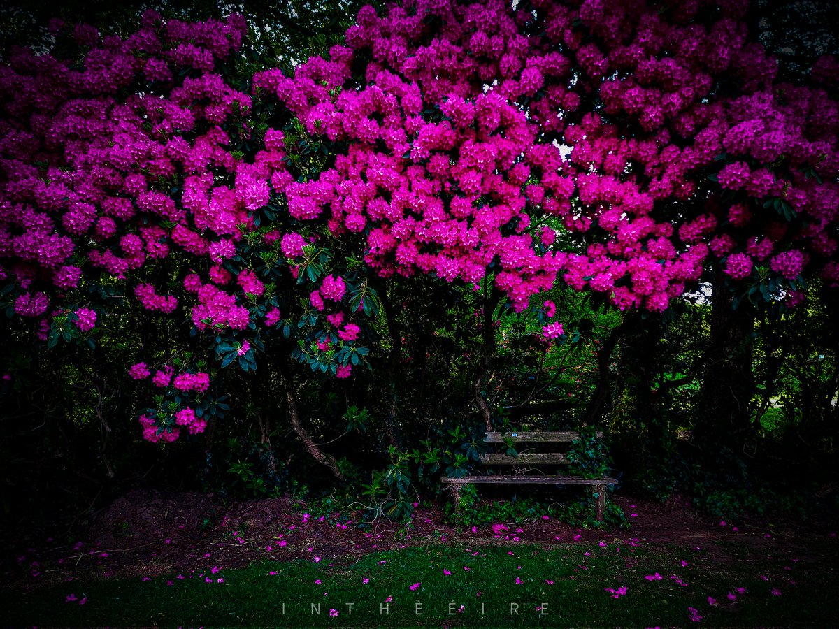 I N T H E É I R E tweet media