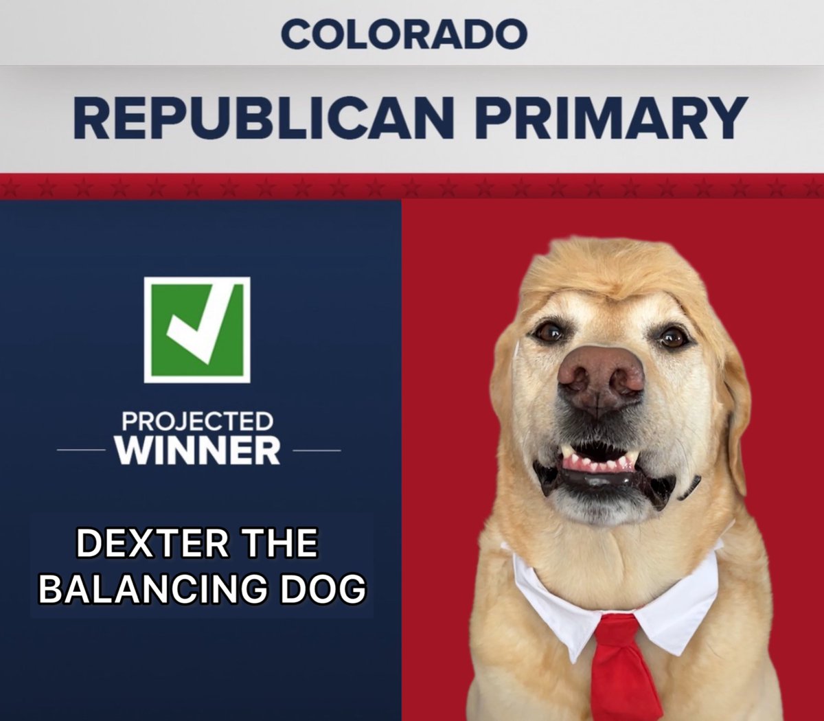DexterBalancing's tweet photo. For the first time in history, a candidate has won BOTH primaries. Dexter is looking forward to continuing his campaign for your next President 🦮🇺🇸 https://t.co/DNrLPw9MeU