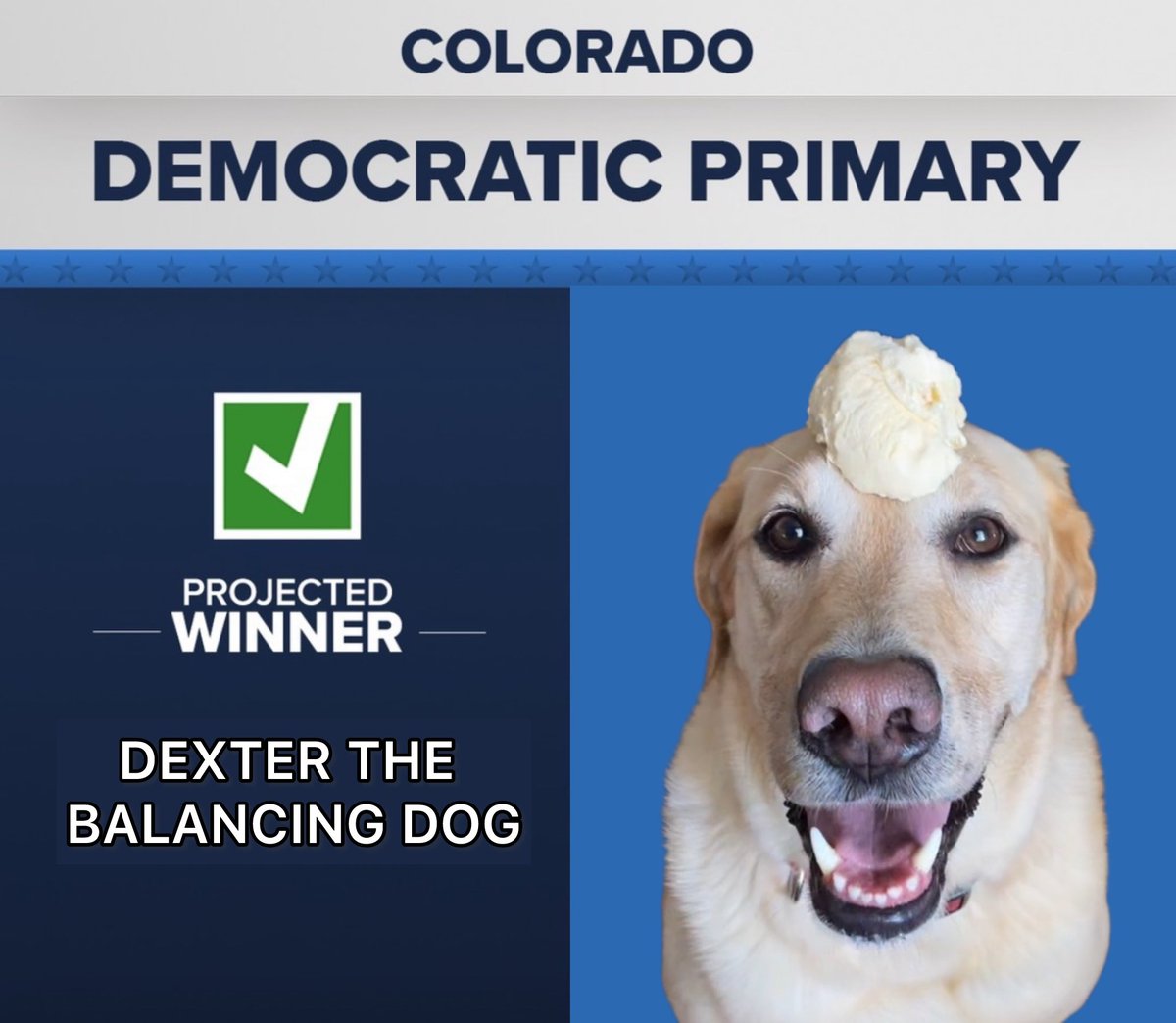 DexterBalancing's tweet photo. For the first time in history, a candidate has won BOTH primaries. Dexter is looking forward to continuing his campaign for your next President 🦮🇺🇸 https://t.co/DNrLPw9MeU