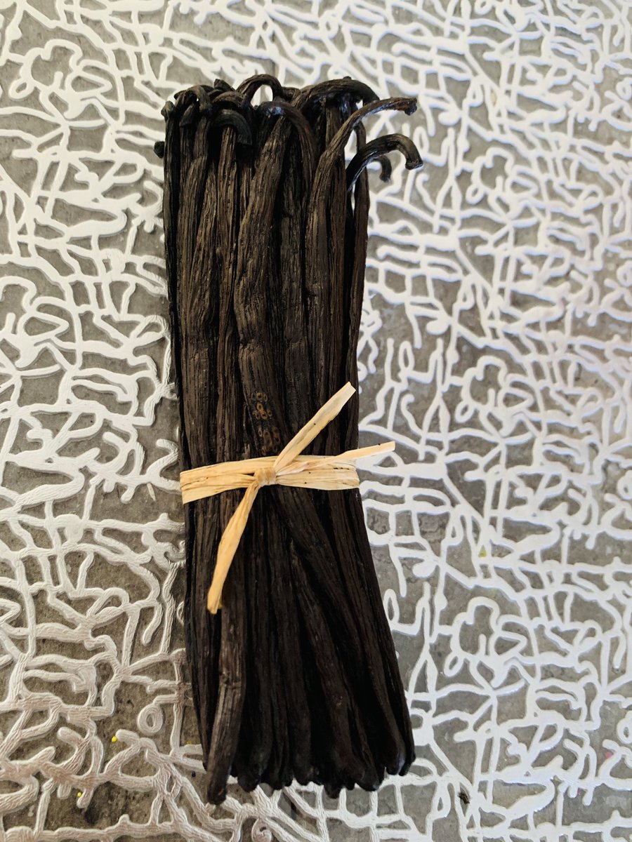 DaViD B ☀️🐈⬛ tweet media