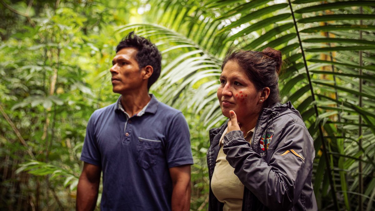 La labor de guardaparques y defensoras del ambiente es clave y está siendo amenazada por el avance de economías ilegales.

Nos solidarizamos con Jéssica Tsamajain, jefa de la Reserva Comunal Tuntanain, quien necesita protección para asegurar la conservación de la biodiversidad.