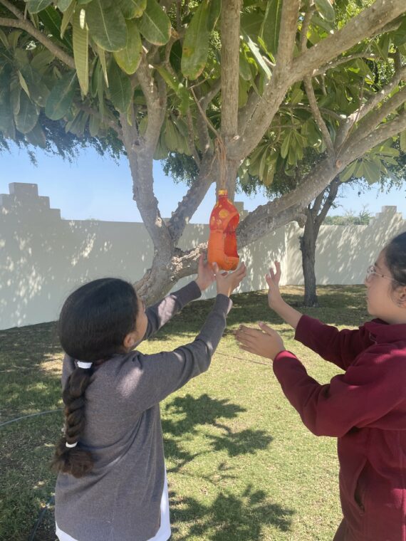 Students from Qatar Academy Sidra hang the bird feeders they have made from upcycled plastic bottles, ready to support birdlife in the local area.

🌱 Roots &amp; Shoots UAE
janegoodall.ae/qa-sidra/2024/…