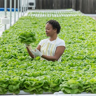 OUT #STARTNOW program provides startups with the tools to transform their ideas into sustainable and profitable businesses, and offers youth training to enhance the entrepreneurship mentality and facilitate entry into the job market.  

Join our April cohort