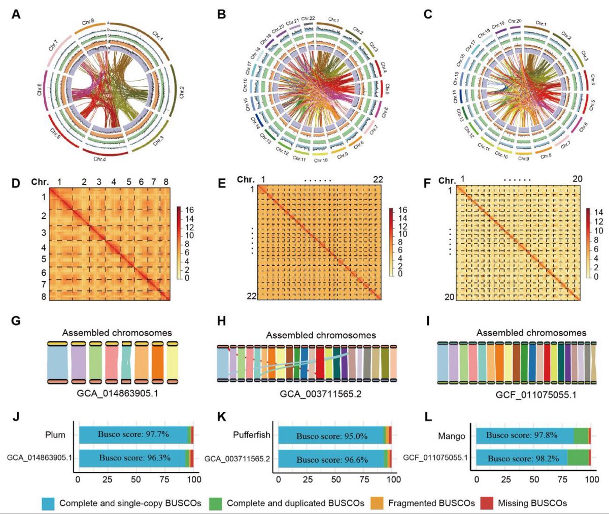 Chrom-pro: A User-Friendly Toolkit for De-novo Chromosome Assembly and Genomic Analysis biorxiv.org/cgi/content/sh…