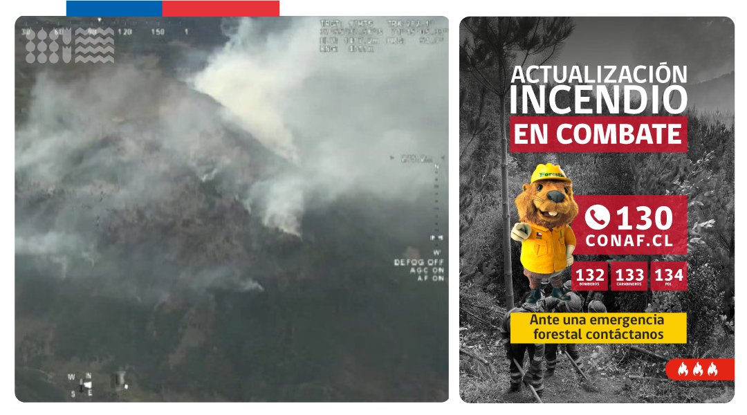incendios_CONAF's tweet photo. EN COMBATE #IFLagunaElBarcoIII, #AltoBiobío, #Biobío
Activo en todos sus sectores.
Superficie preliminar➡️469 ha.
Recursos➡️2 técnicos, 4 brigadas, 1 aljibe, 1 helicóptero, 1 🚁 SuperPuma, 1 🚁Chinook, 1 avión de coordinación (ACO) #CONAF. https://t.co/XqUAEWkPkX