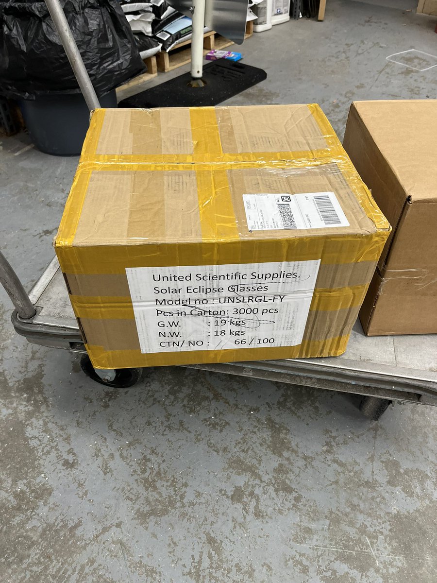 Amy Maynes tweet media