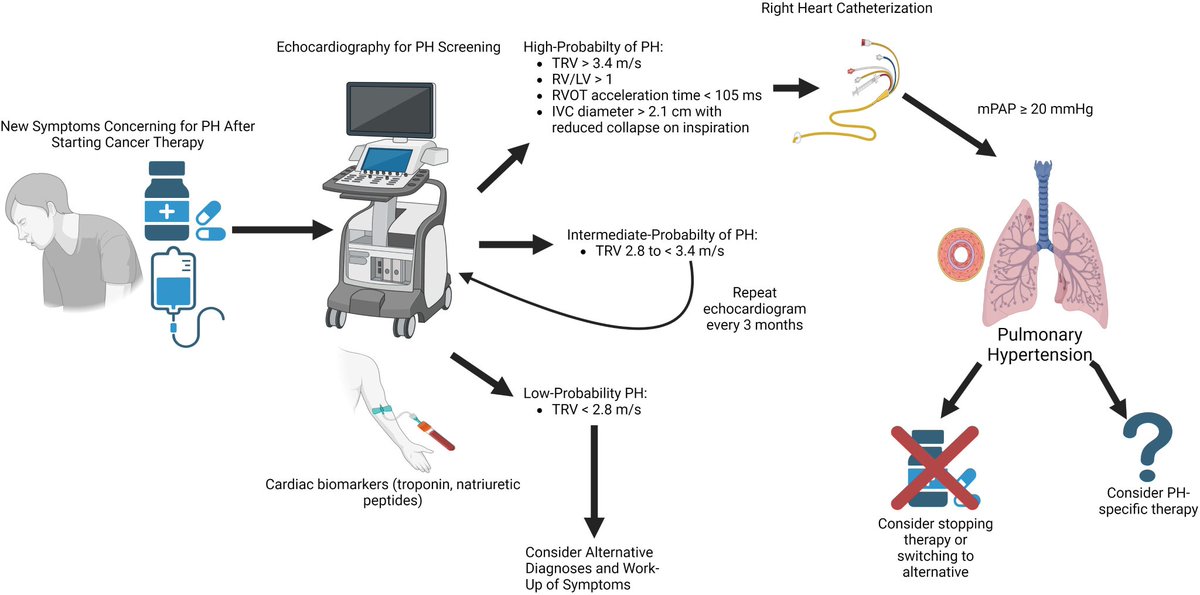 Excited to share our new review in @RCMjournal. Cardiotox in cancer #cardioonc pts is usually assoc w/ LV dysfunx, however cancer tx can affect the RV #ThePeoplesVentricle. We review incidence and management of PH/RV dysfunction. @datsunian @manyooa imrpress.com/journal/RCM/25…