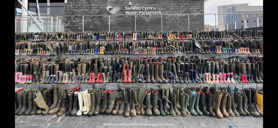Huge congratulations to @AbiReader and the @NFUCymru team. Here's a picture of the Senedd today. What a powerful message on how poorly thought out policies could influence people's lives and livelihoods. All those empty wellies represent jobs which would be lost.