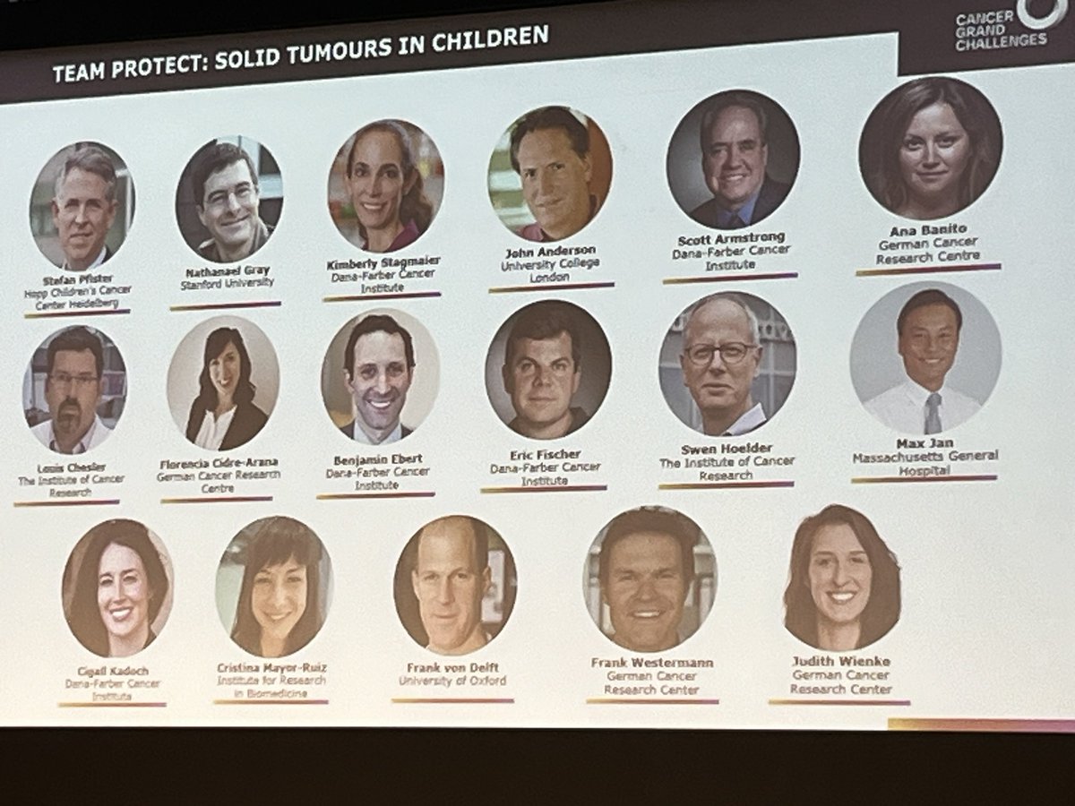 The fourth winning @CancerGrand team is a second (!) team for the Solid Tumors in Children challenge: Team PROTECT, led by Stefan Pfister (@KiTZ_HD) - congratulations!