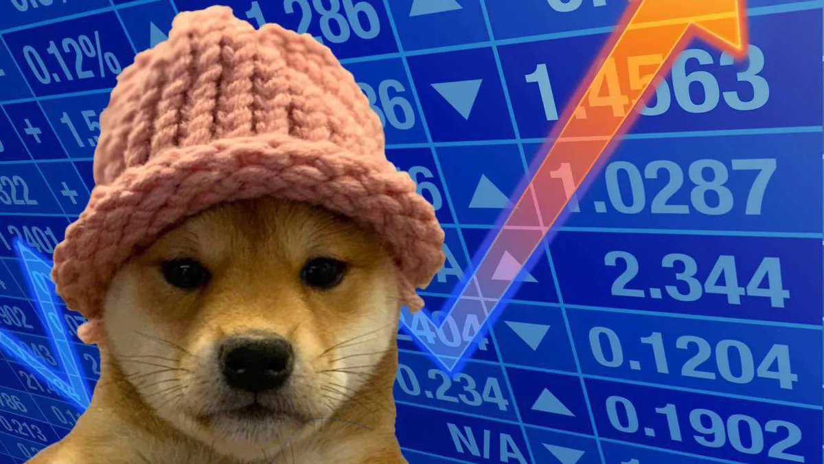 It’s like a dog, but with hat… a living legend and proof that there is always another chance here in crypto’s world. Make sure you are focused enough. $WIF