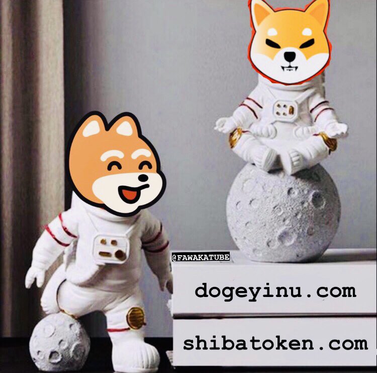 dfddh9's tweet photo. @Shibtoken puppy love 💚 https://t.co/OSRAMbXnGn