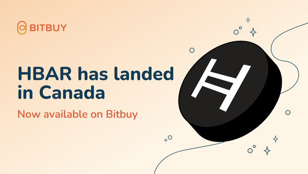 Bitbuy tweet media