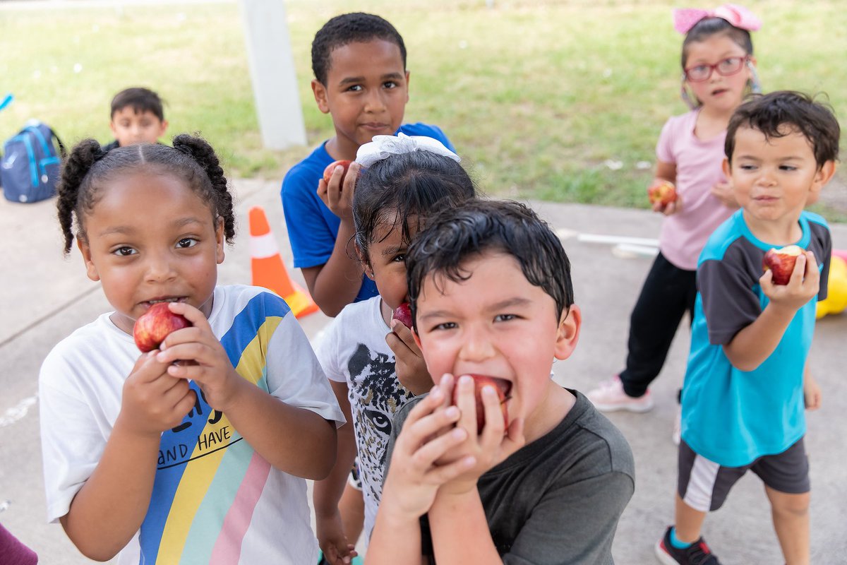 MAMcKinlay's tweet photo. Happy #AmplifyAustin day! I’m raising $1500 that will support @theARFoundation Summer Camp field trip to the zoo (admission, snacks, transportation, etc) for 200 Austin youth! Help me send these deserving youth to the zoo😊 https://t.co/L7r8HcDws1 https://t.co/IADrExhmiI