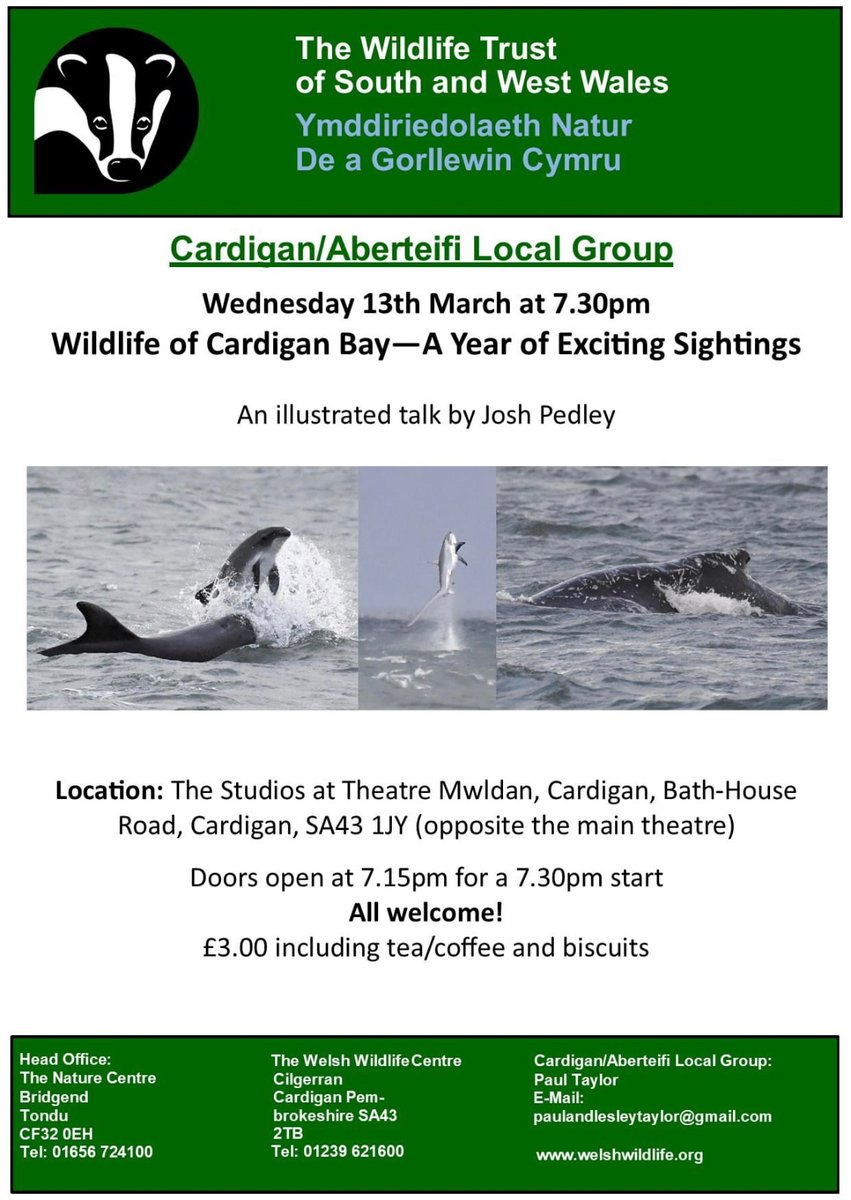 If anyone finds themselves in the area, I am giving a talk about the wildlife of Cardigan Bay and our amazing sightings from our boat trips over the last 12 months. Theatre Mwldan Studios in Cardigan. Wednesday 13th March. Hopefully see some of you there!