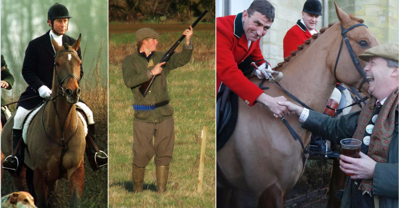 Protect the Wild tweet media