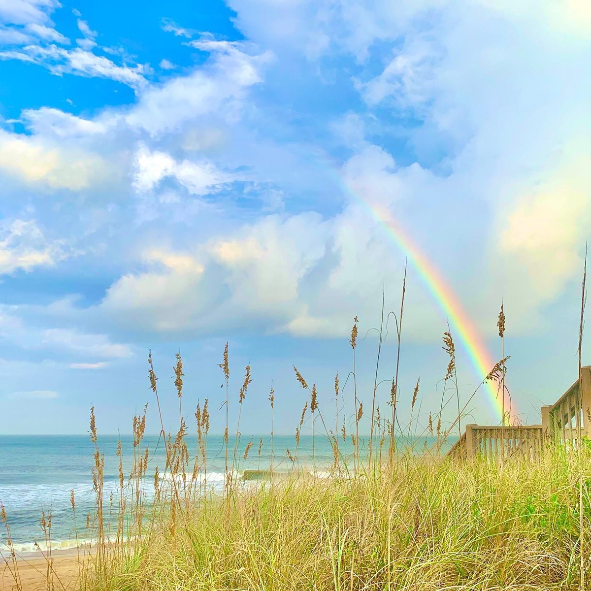 OBXListings's tweet photo. Trying to keep that sunny day vibe regardless of the weather ☔, maybe we'll get a rainbow 🌈 out of it! #obx #oceanfront. #obxrealestate #outerbanksrealestate https://t.co/CDtnu31Bu0 Coldwell Banker Seaside Realty https://t.co/Q7LxAouagf