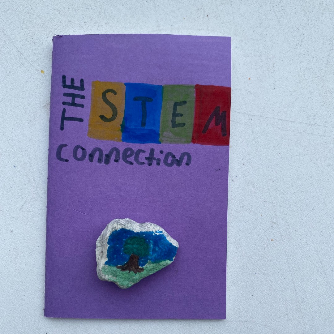 The STEM connection tweet media