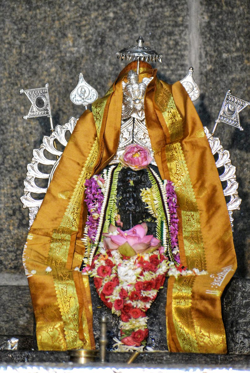 ShankaraPeetha's tweet image. ಶ್ರೀಸವಾರಿ:
ಶ್ರೀ ಕ್ಷೇತ್ರ ಕಾರಣಗಿರಿಯಲ್ಲಿ ಶ್ರೀಸಿದ್ಧಿವಿನಾಯಕ ದೇವರ ಜೀವಕುಂಭಾಭಿಷೇಕ - ಶ್ರೀ ದೇವರ ಪ್ರತಿಷ್ಠೆ - ಶಿಖರ ಪ್ರತಿಷ್ಠೆ

04-03-2024